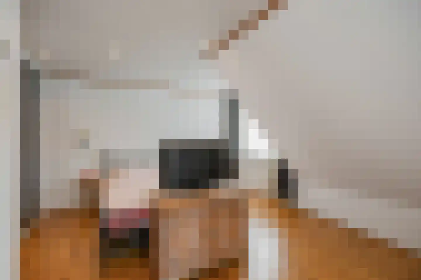Leenakker 2 Swalmen thumbnail 25