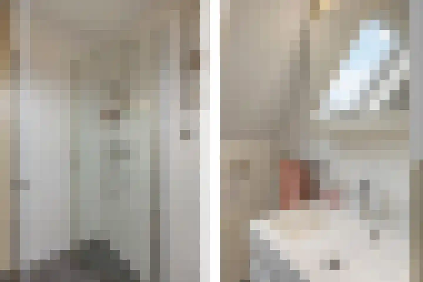 Leenakker 2 Swalmen thumbnail 29