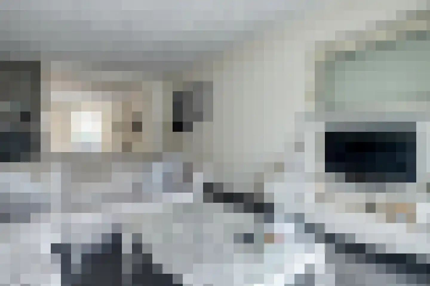 Leenakker 31 Swalmen thumbnail 13