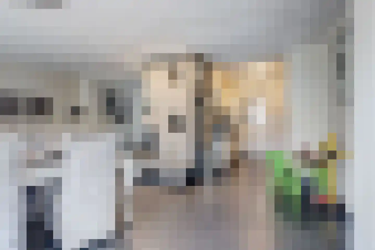 Leenakker 31 Swalmen thumbnail 16