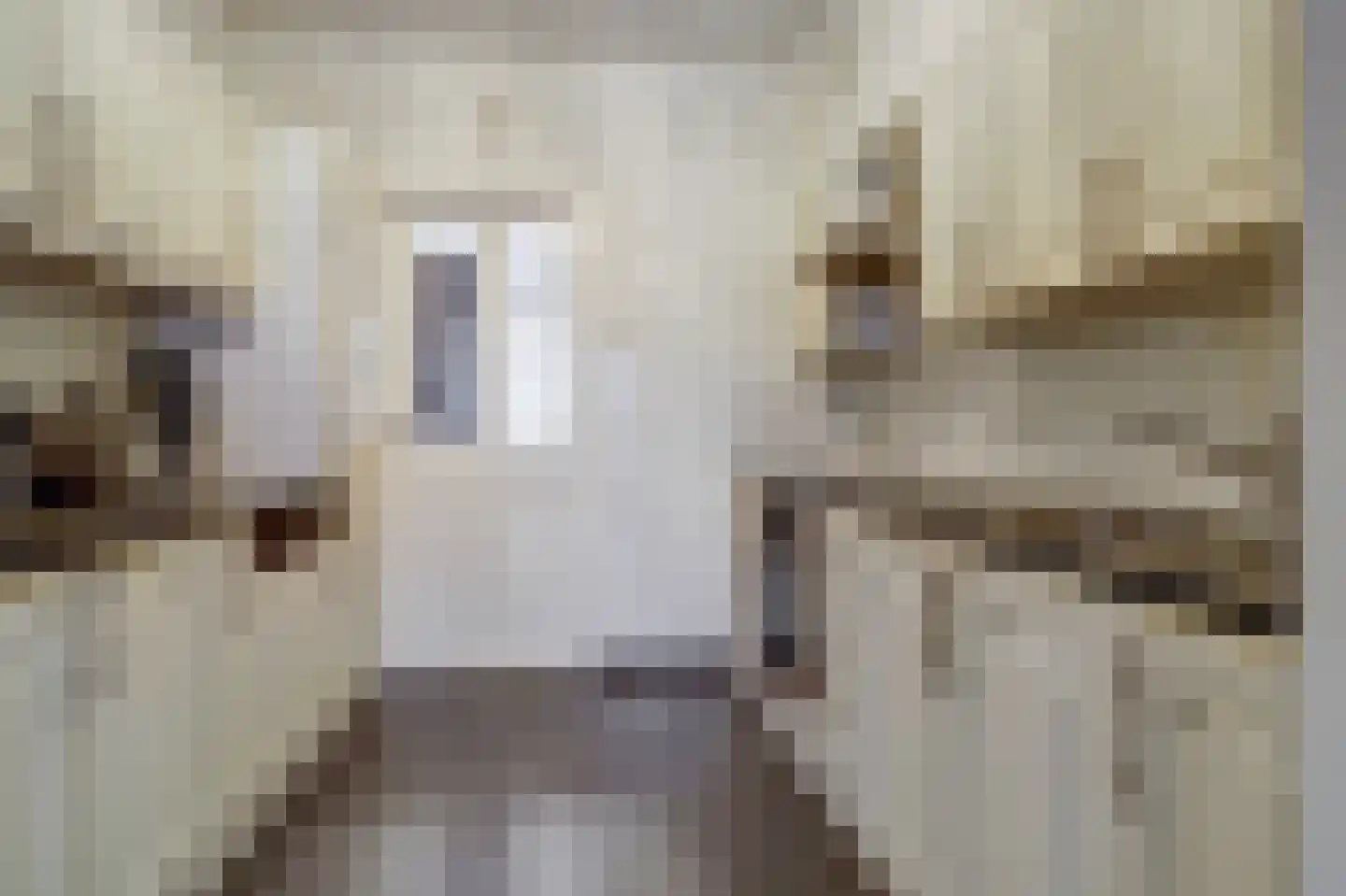 Leenakker 31 Swalmen thumbnail 18