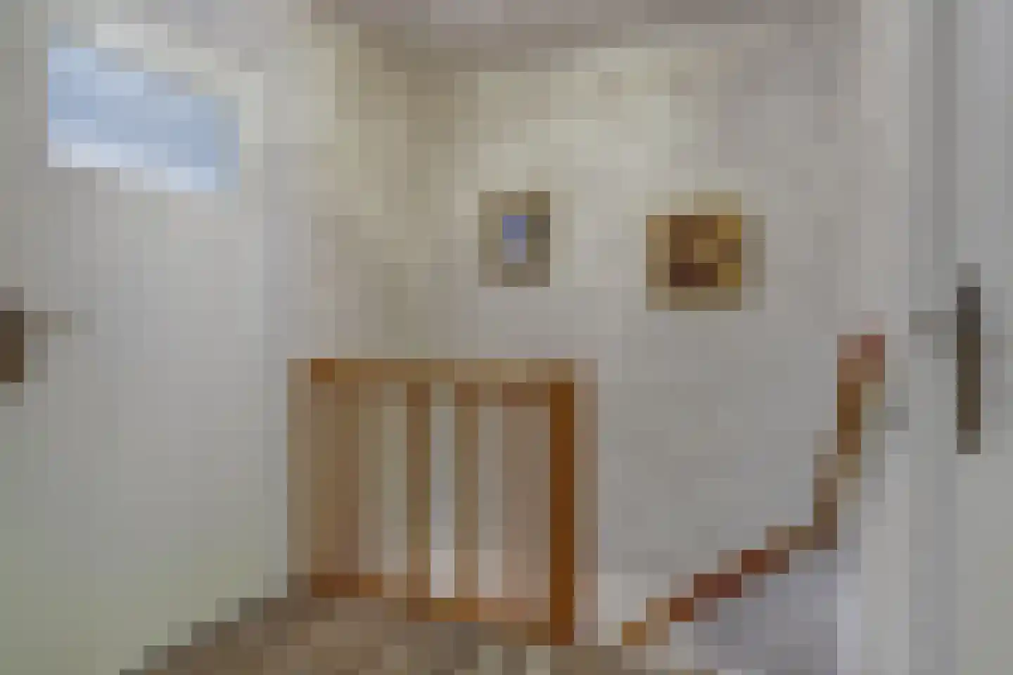Leenakker 31 Swalmen thumbnail 21