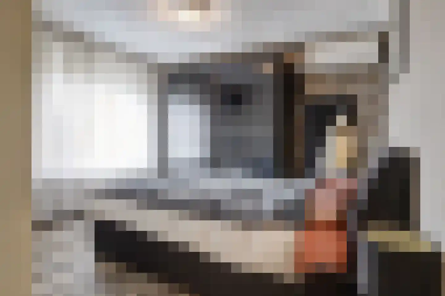 Leenakker 31 Swalmen thumbnail 22