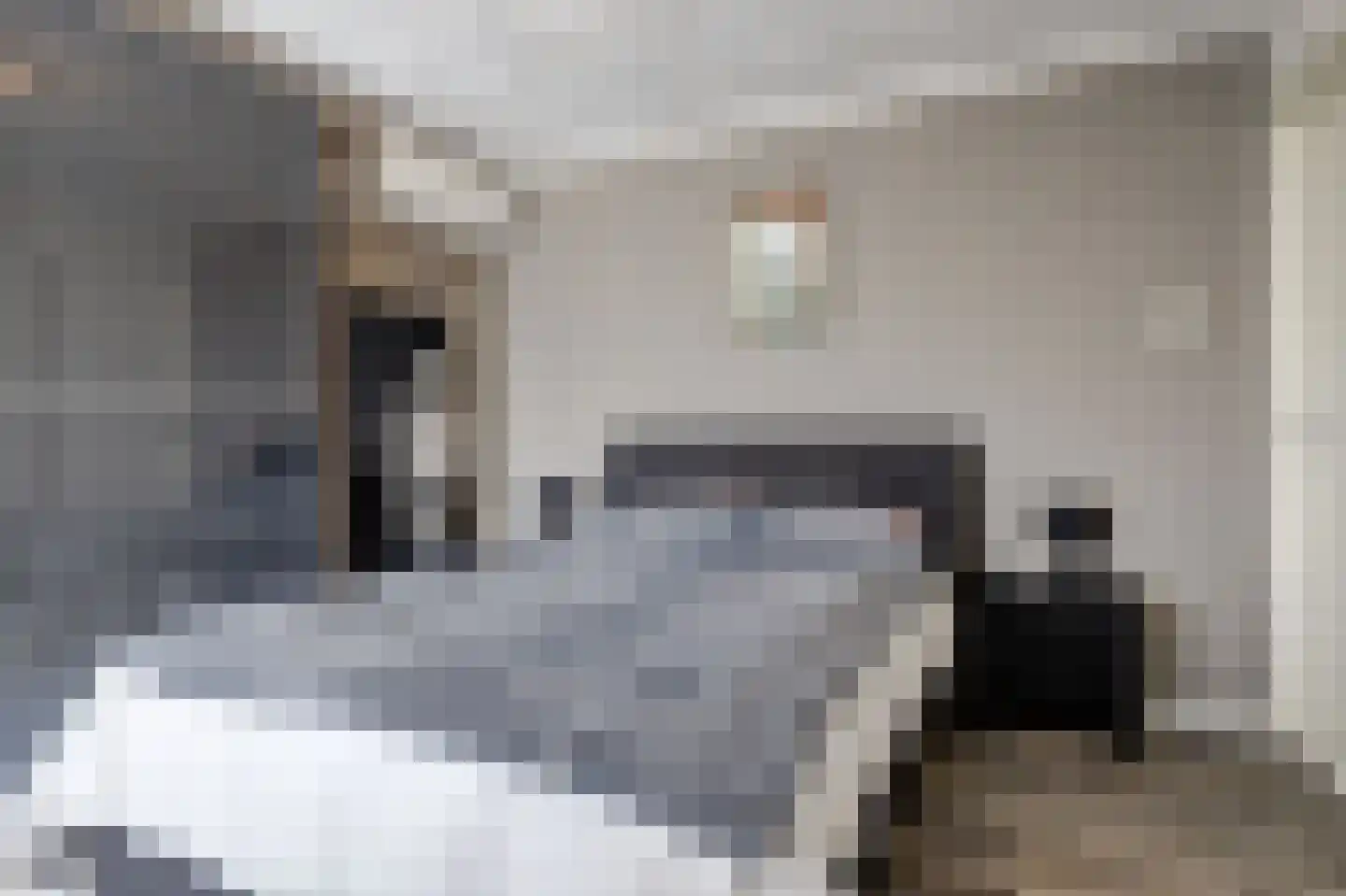 Leenakker 31 Swalmen thumbnail 23