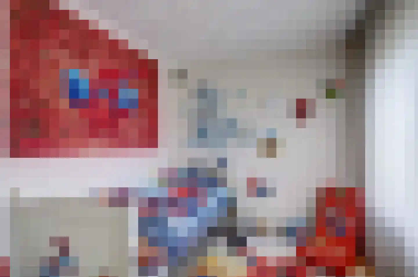 Leenakker 31 Swalmen thumbnail 24