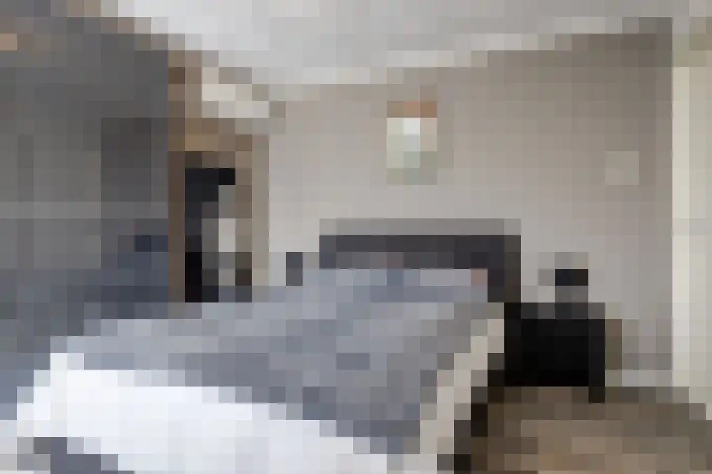 Leenakker 31 Swalmen thumbnail 4