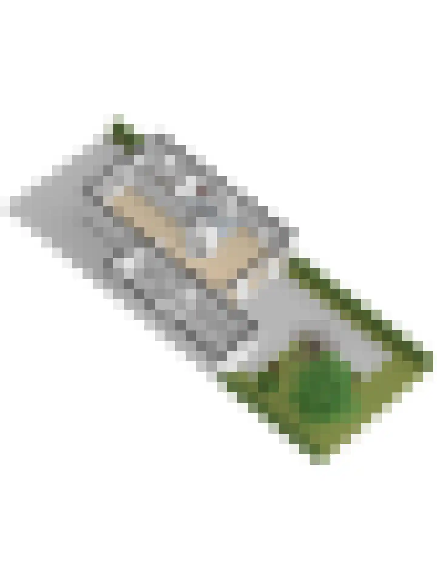 Leenakker 31 Swalmen thumbnail 46