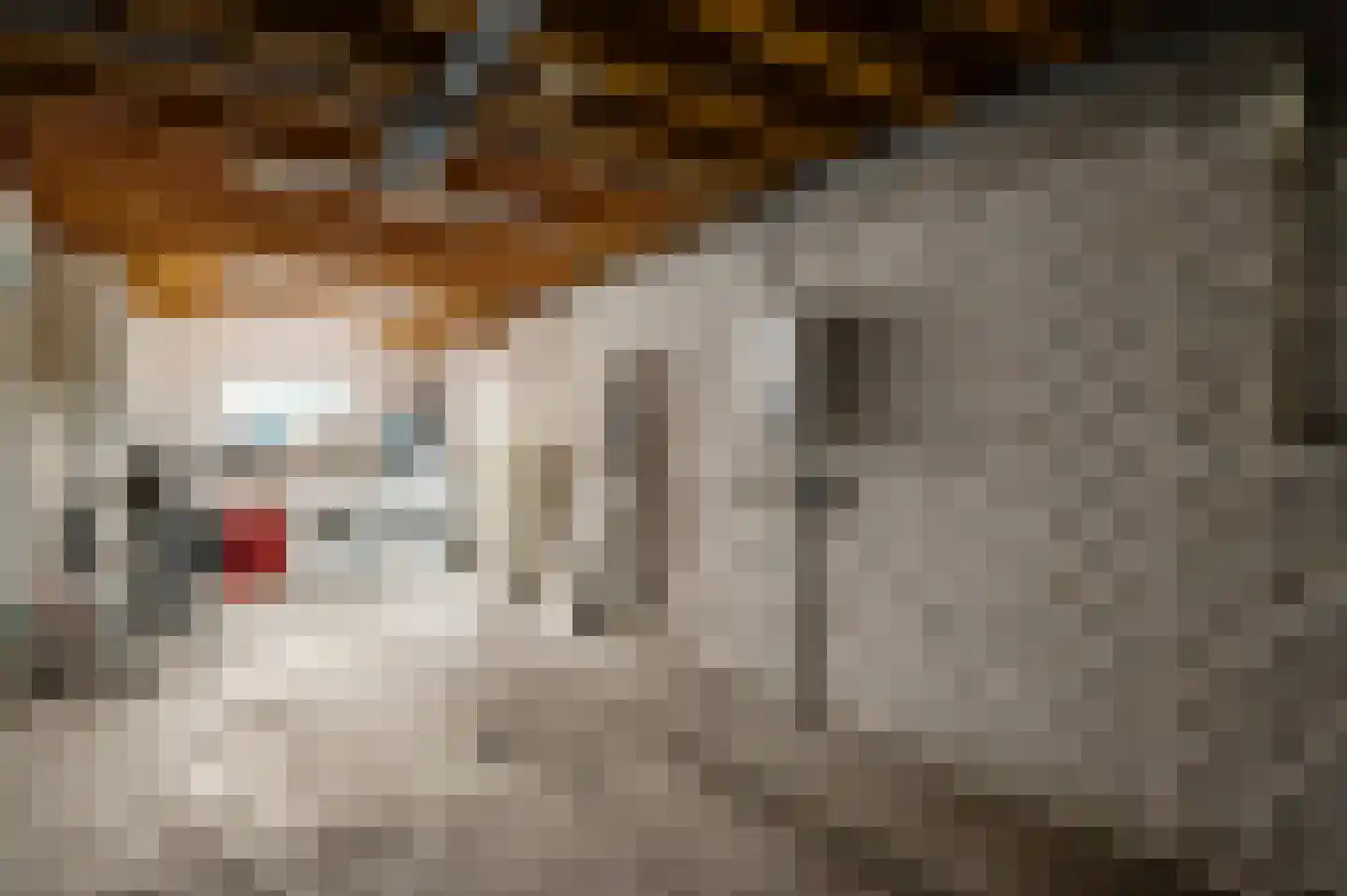 Leenakker 4 Swalmen thumbnail 11