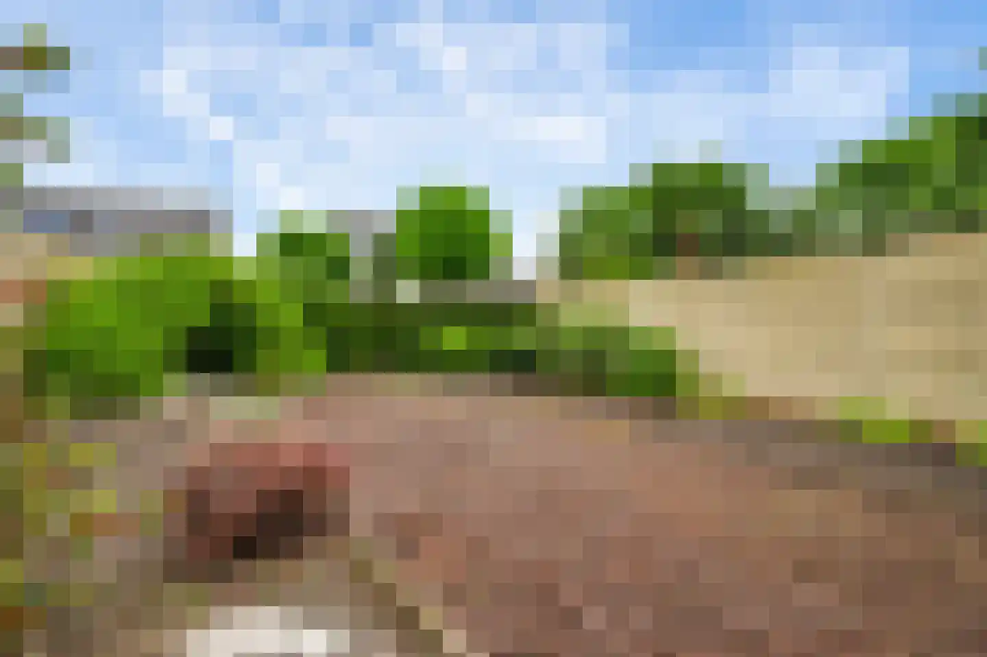 Leenakker 4 Swalmen thumbnail 12