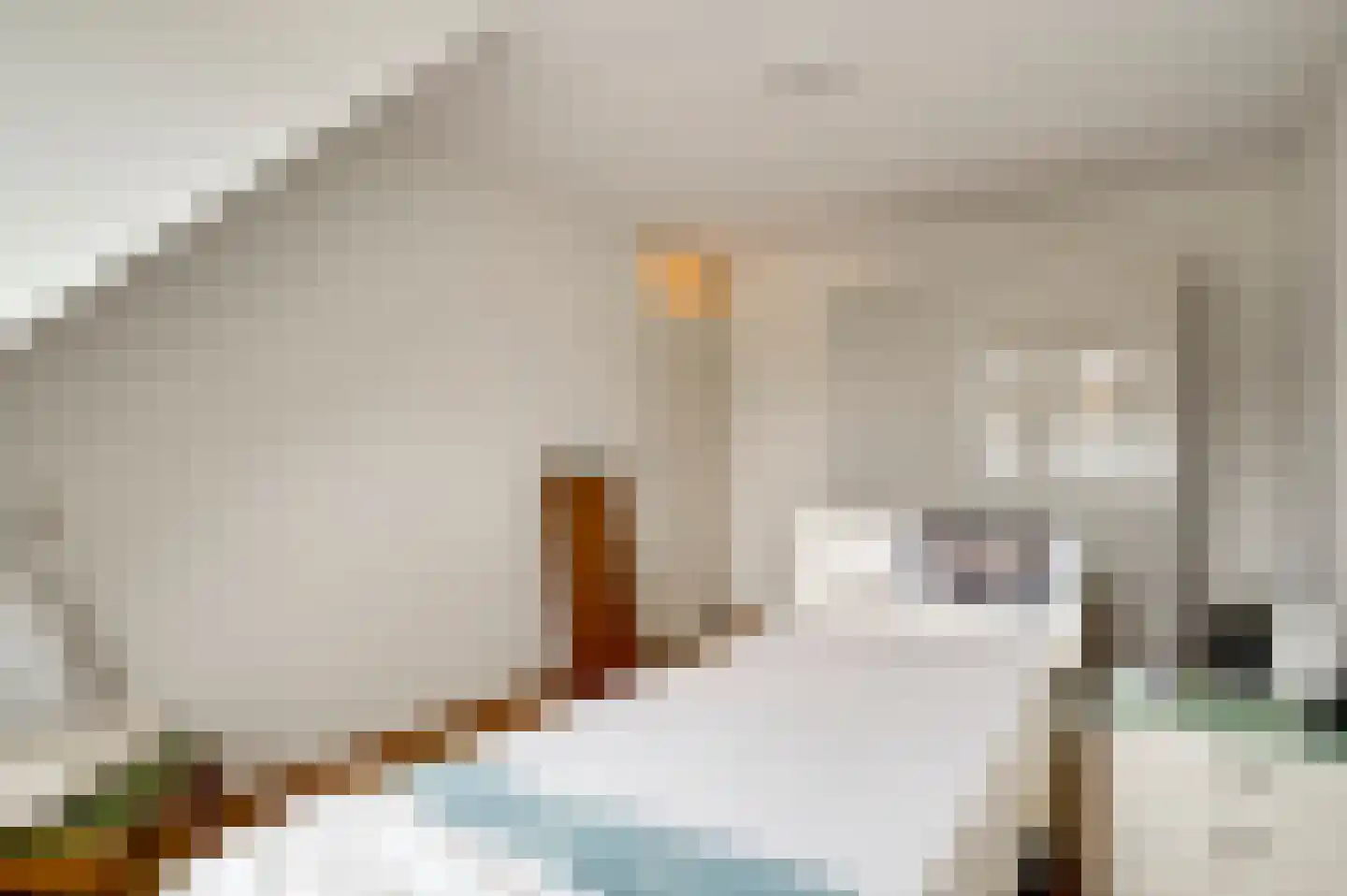 Leenakker 4 Swalmen thumbnail 19