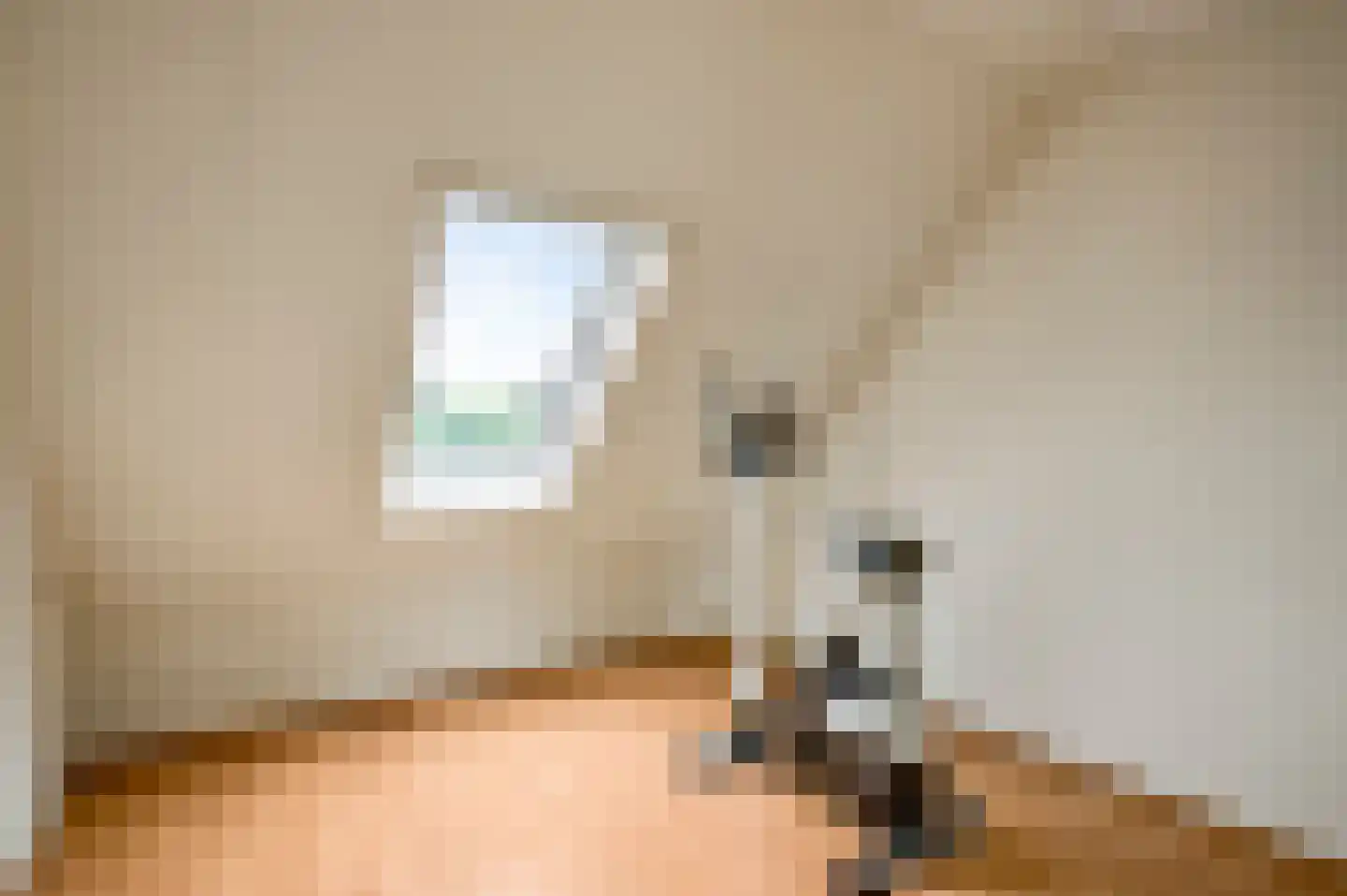 Leenakker 4 Swalmen thumbnail 20