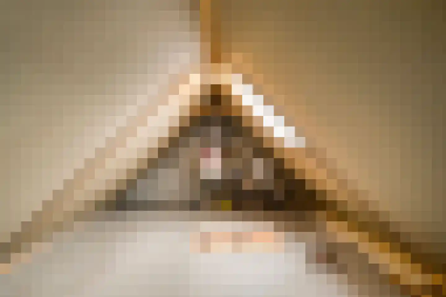 Leenakker 4 Swalmen thumbnail 25