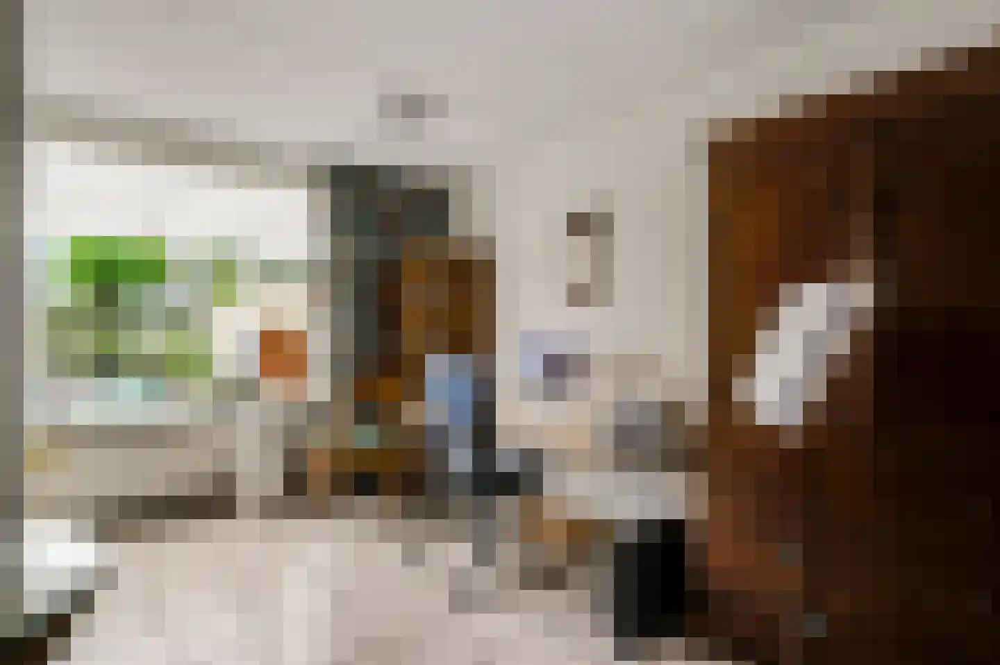 Leenakker 4 Swalmen thumbnail 7