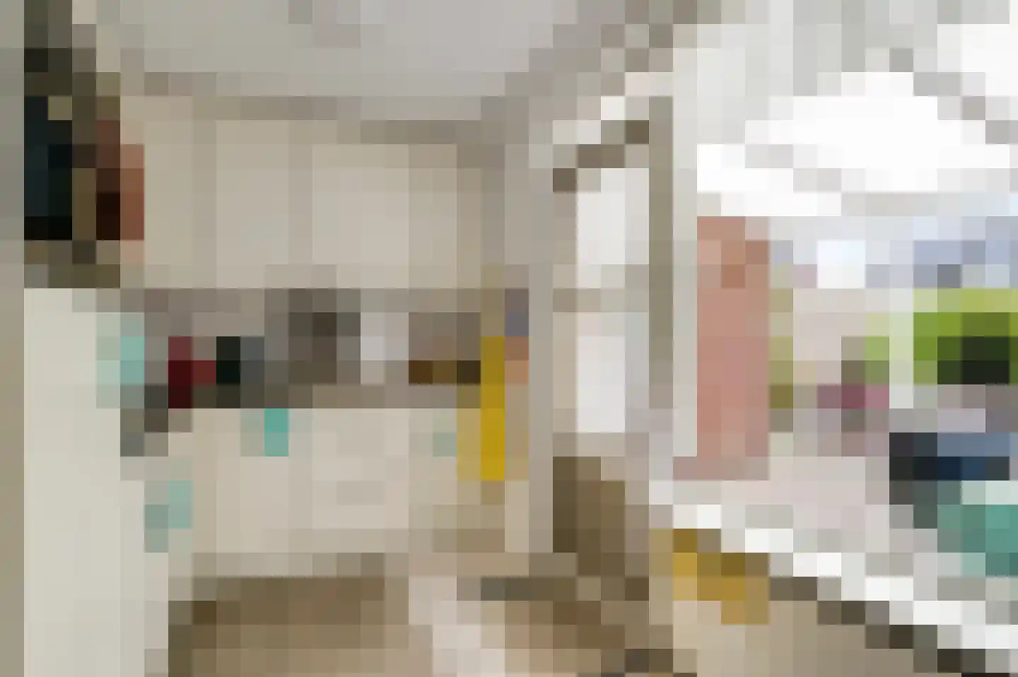 Leenakker 4 Swalmen thumbnail 9