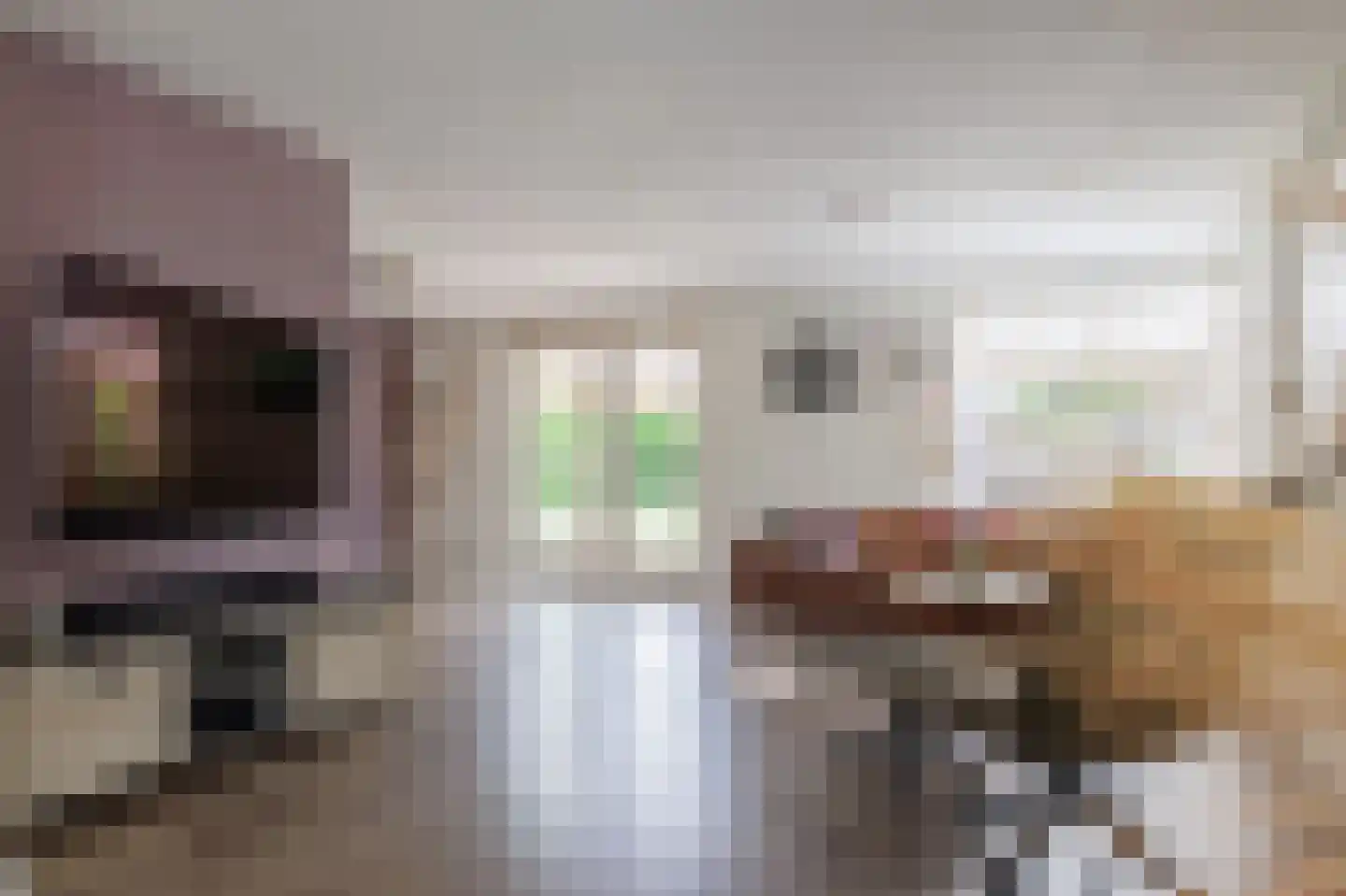 Leenakkersweg 10 Zuidlaren thumbnail 19