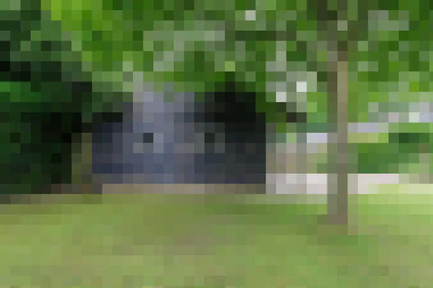 Leenakkersweg 10 Zuidlaren thumbnail 26