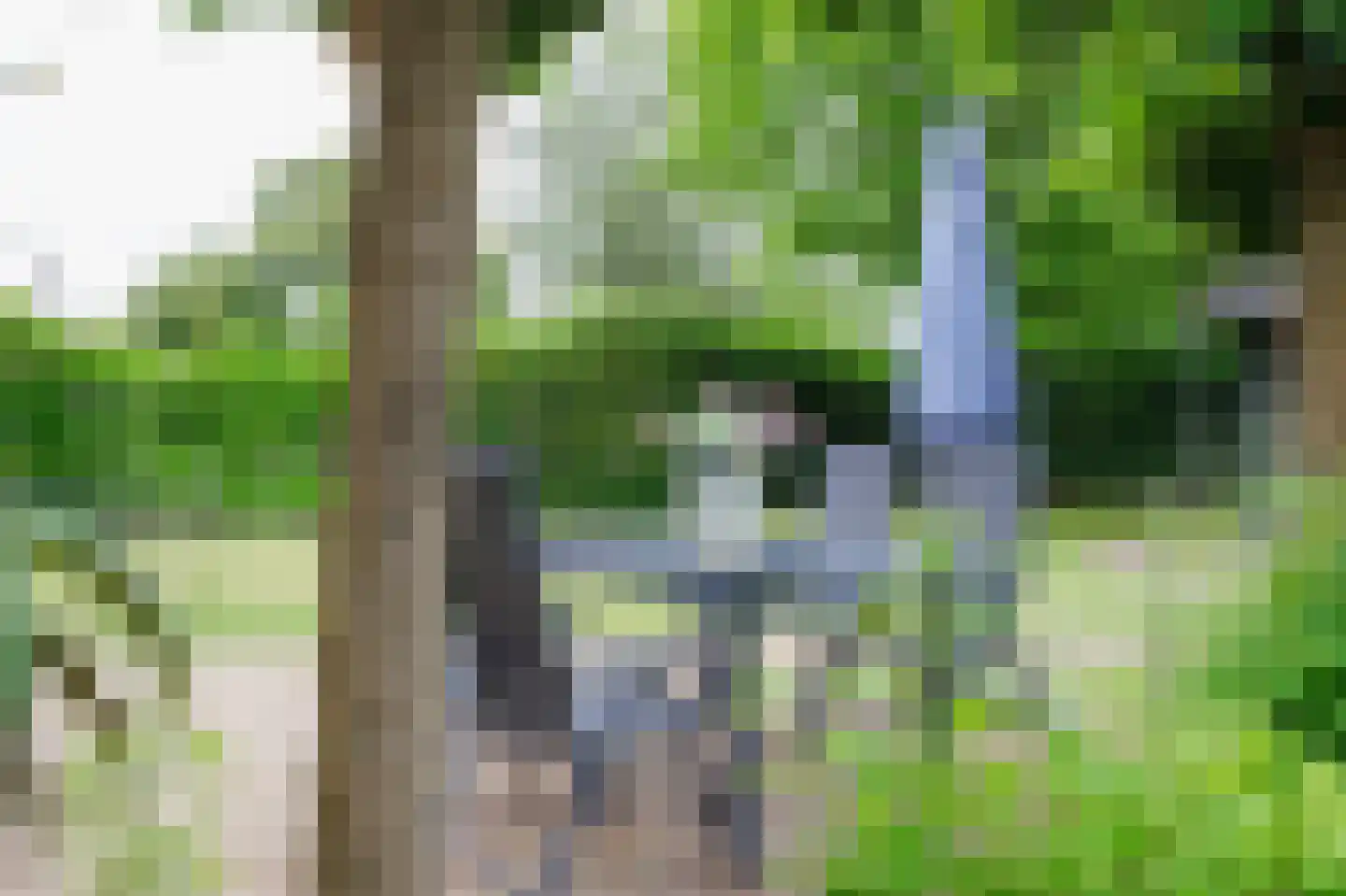 Leenakkersweg 10 Zuidlaren thumbnail 30