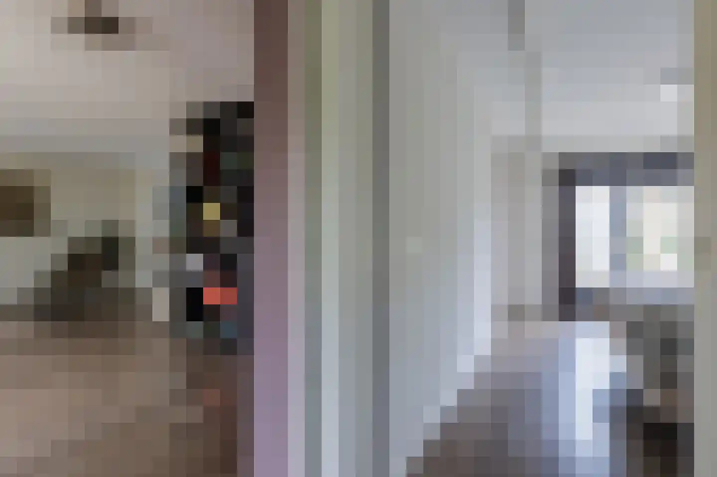 Leenakkersweg 10 Zuidlaren thumbnail 34