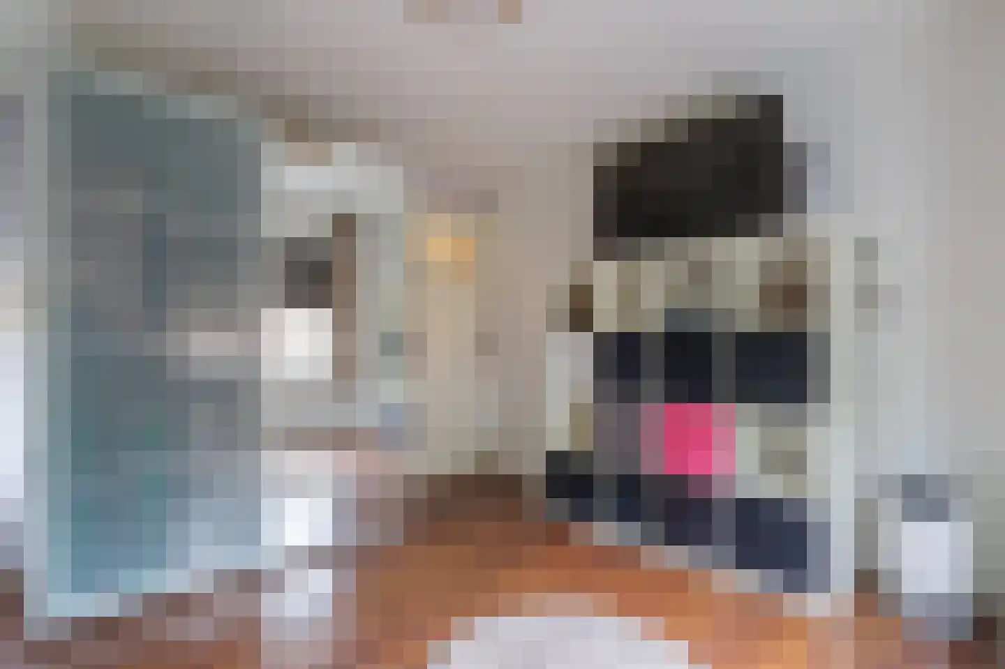 Leenakkersweg 10 Zuidlaren thumbnail 58