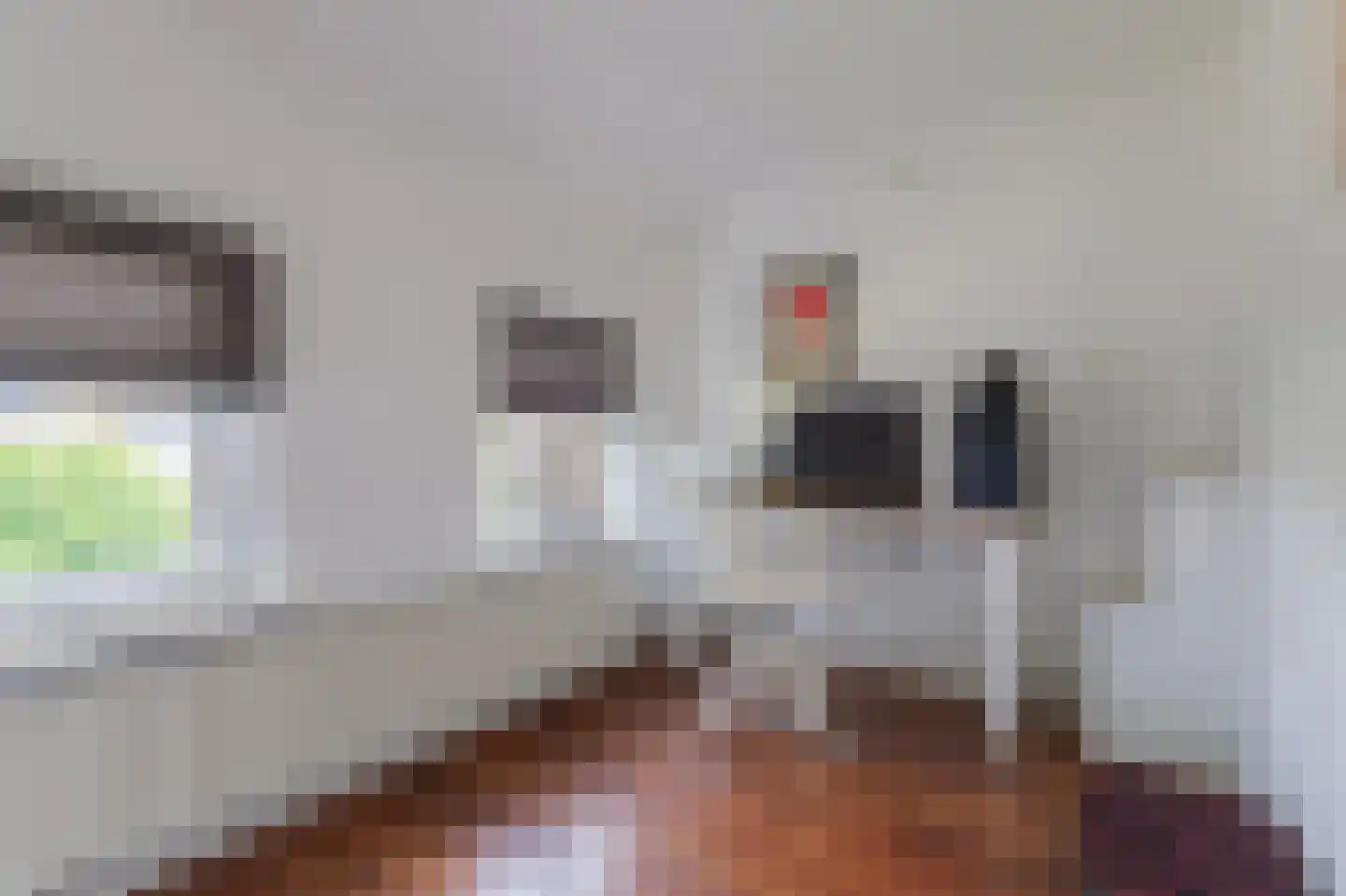 Leenakkersweg 10 Zuidlaren thumbnail 59