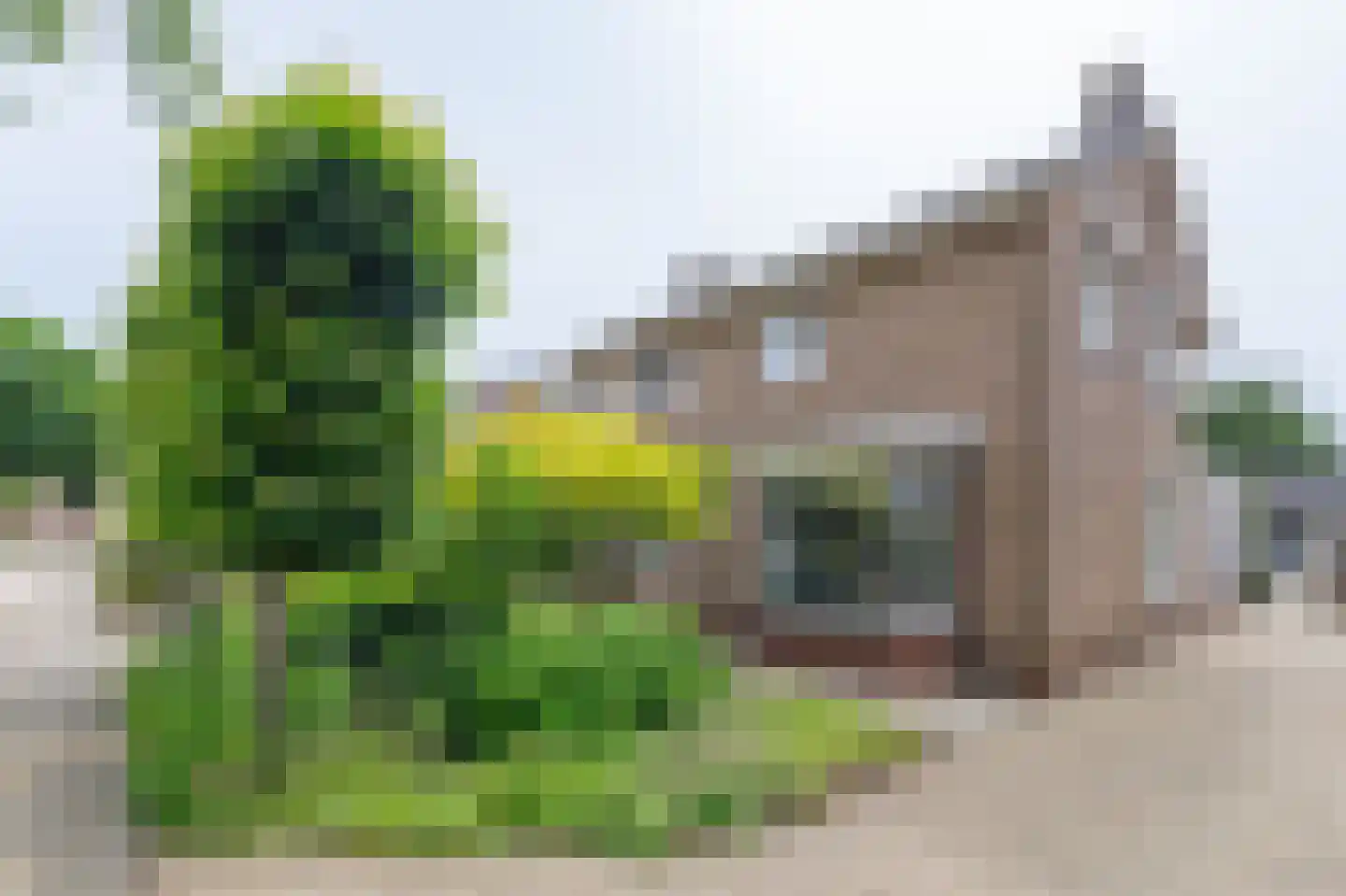 Leenakkersweg 10 Zuidlaren thumbnail 69