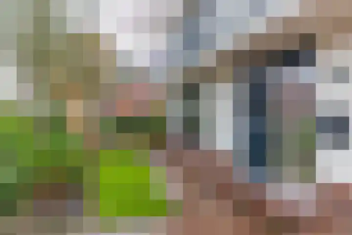 Leenakkersweg 13 A Zuidlaren thumbnail 10