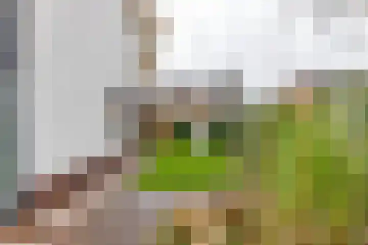 Leenakkersweg 13 A Zuidlaren thumbnail 12