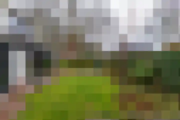 Leenakkersweg 13 A Zuidlaren thumbnail 13