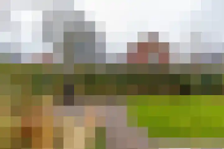 Leenakkersweg 13 A Zuidlaren thumbnail 14