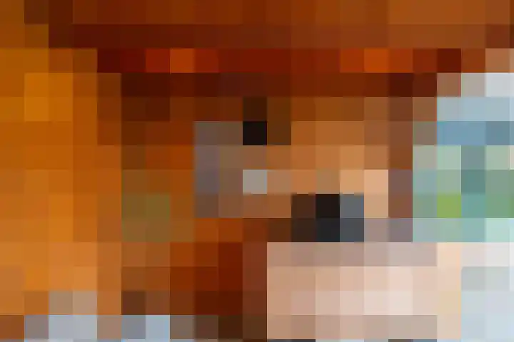 Leenakkersweg 13 A Zuidlaren thumbnail 17