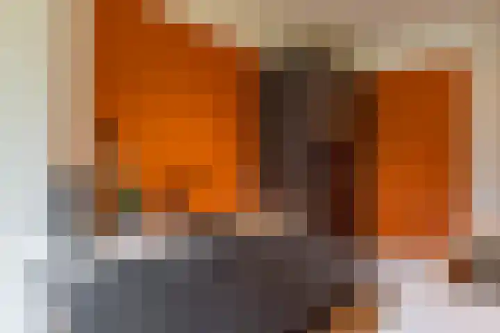 Leenakkersweg 13 A Zuidlaren thumbnail 37