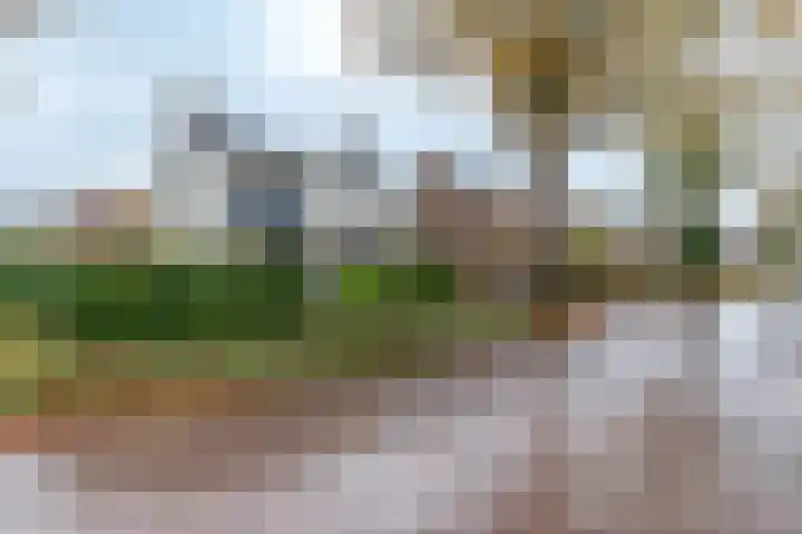 Leenakkersweg 13 A Zuidlaren thumbnail 8