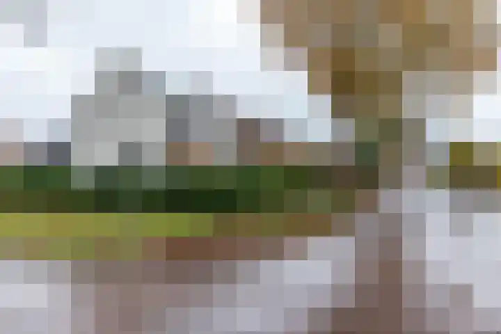 Leenakkersweg 13 A Zuidlaren thumbnail 9