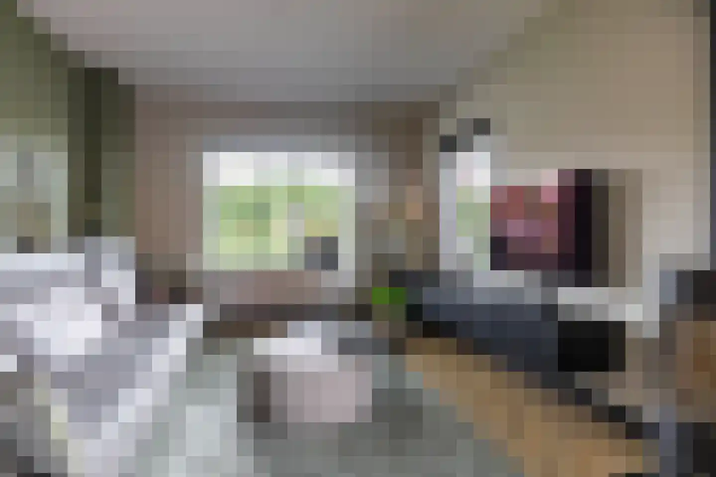 Leenakkersweg 51 Zuidlaren thumbnail 14