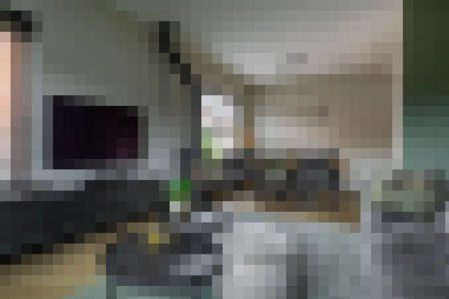 Leenakkersweg 51 Zuidlaren thumbnail 16