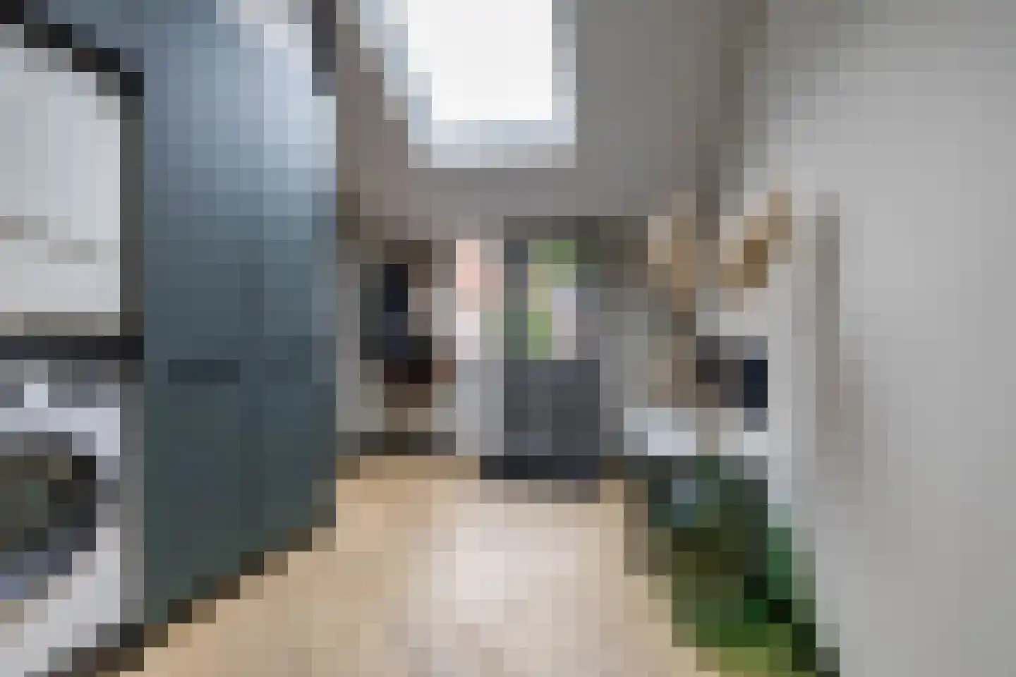 Leenakkersweg 51 Zuidlaren thumbnail 20