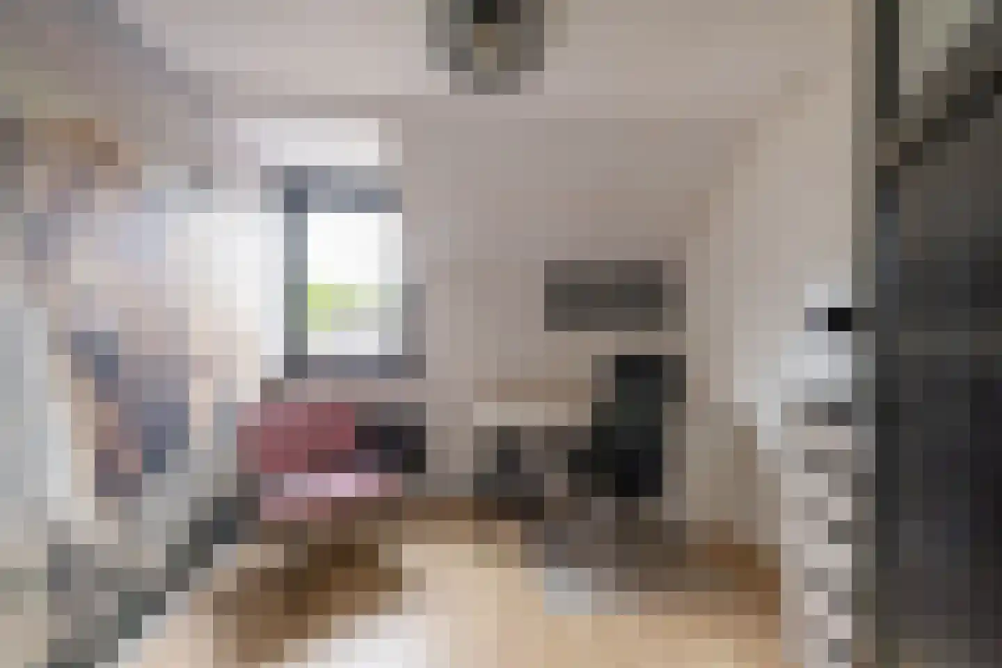 Leenakkersweg 51 Zuidlaren thumbnail 24