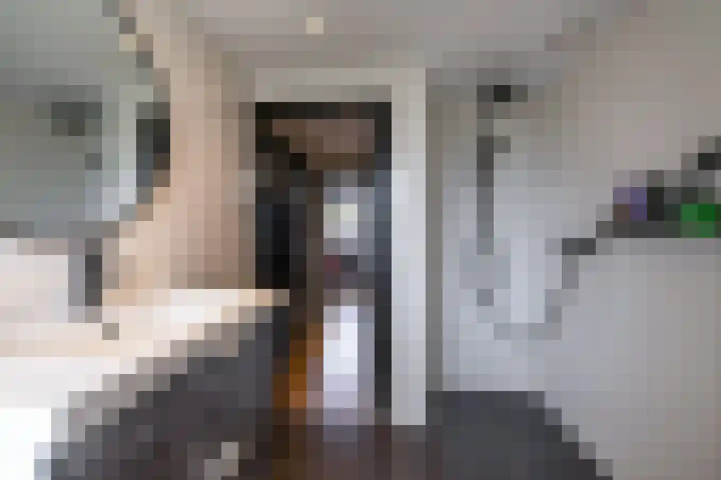 Leenakkersweg 51 Zuidlaren thumbnail 27