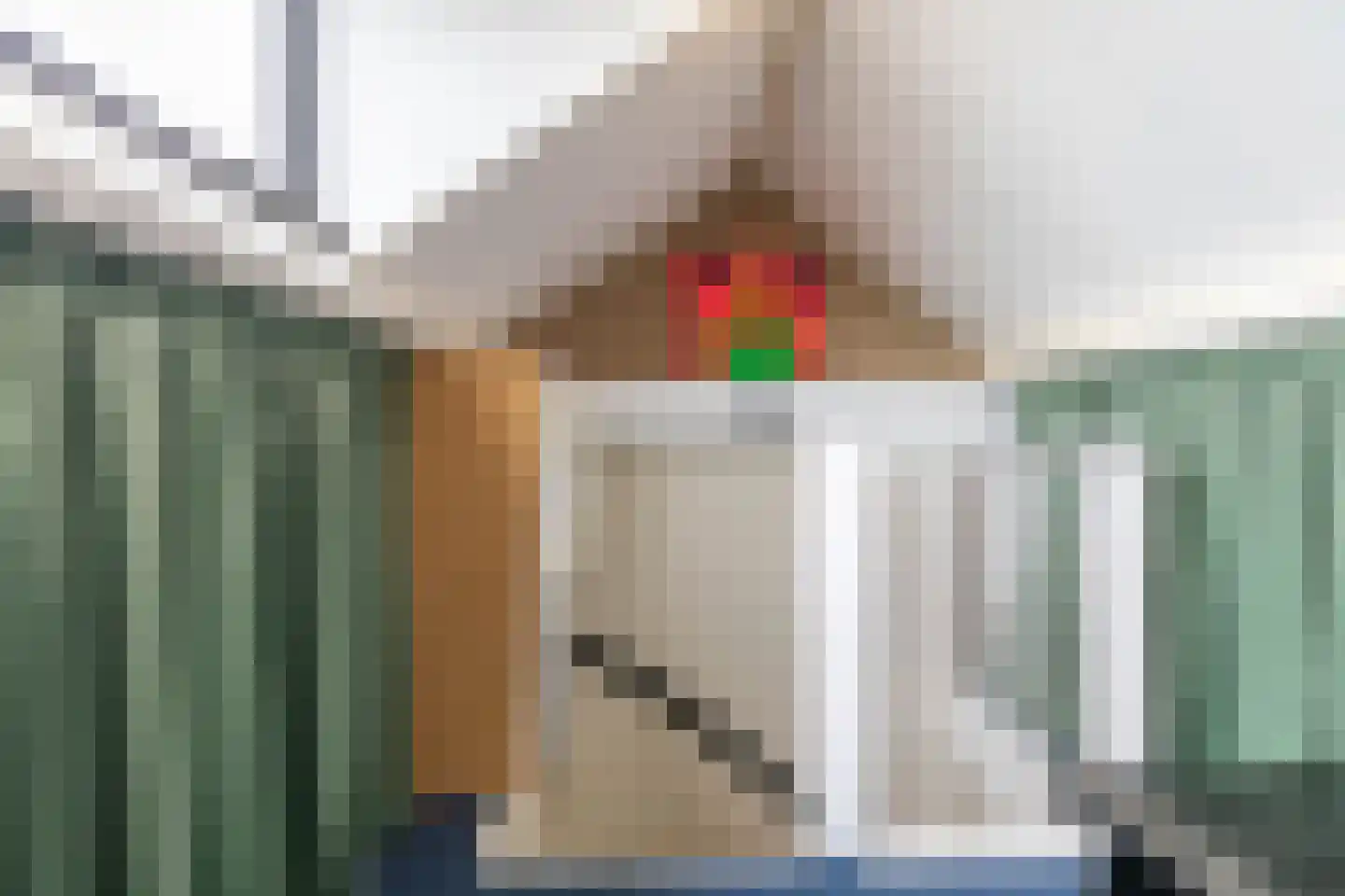 Leenakkersweg 51 Zuidlaren thumbnail 32