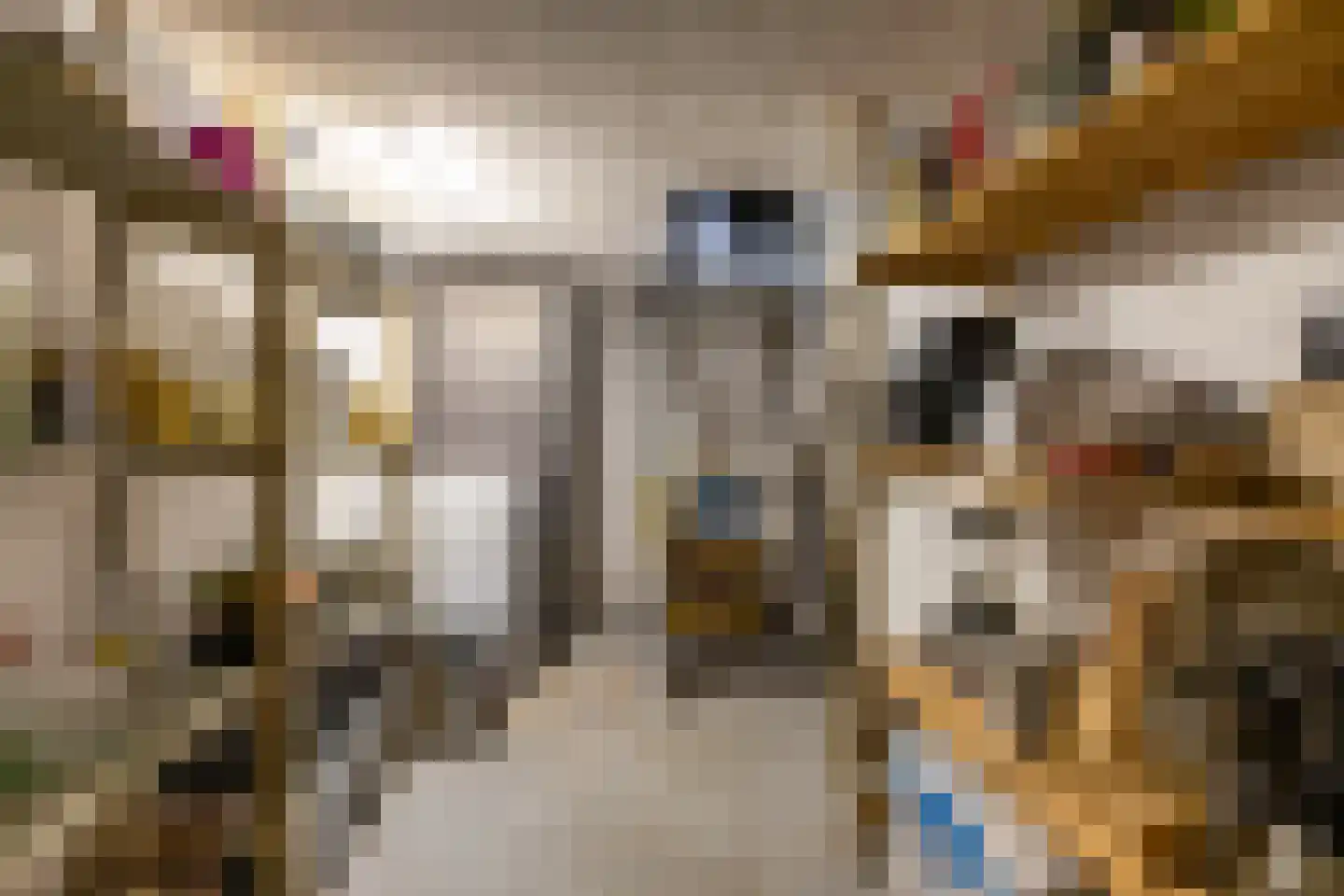Leenakkersweg 51 Zuidlaren thumbnail 36