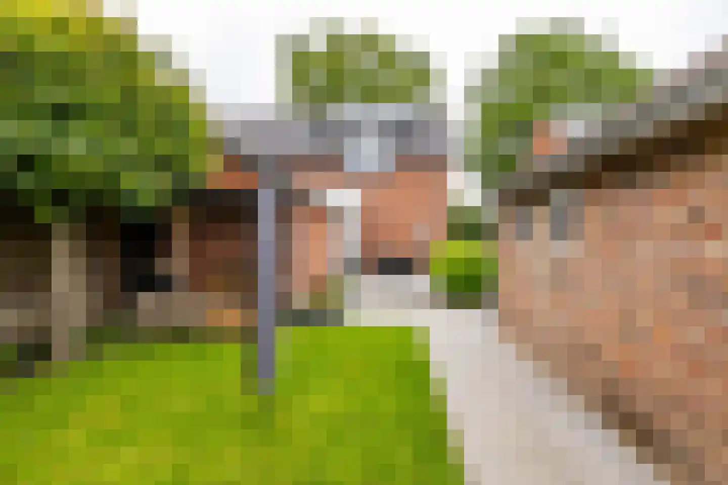 Leenakkersweg 51 Zuidlaren thumbnail 38