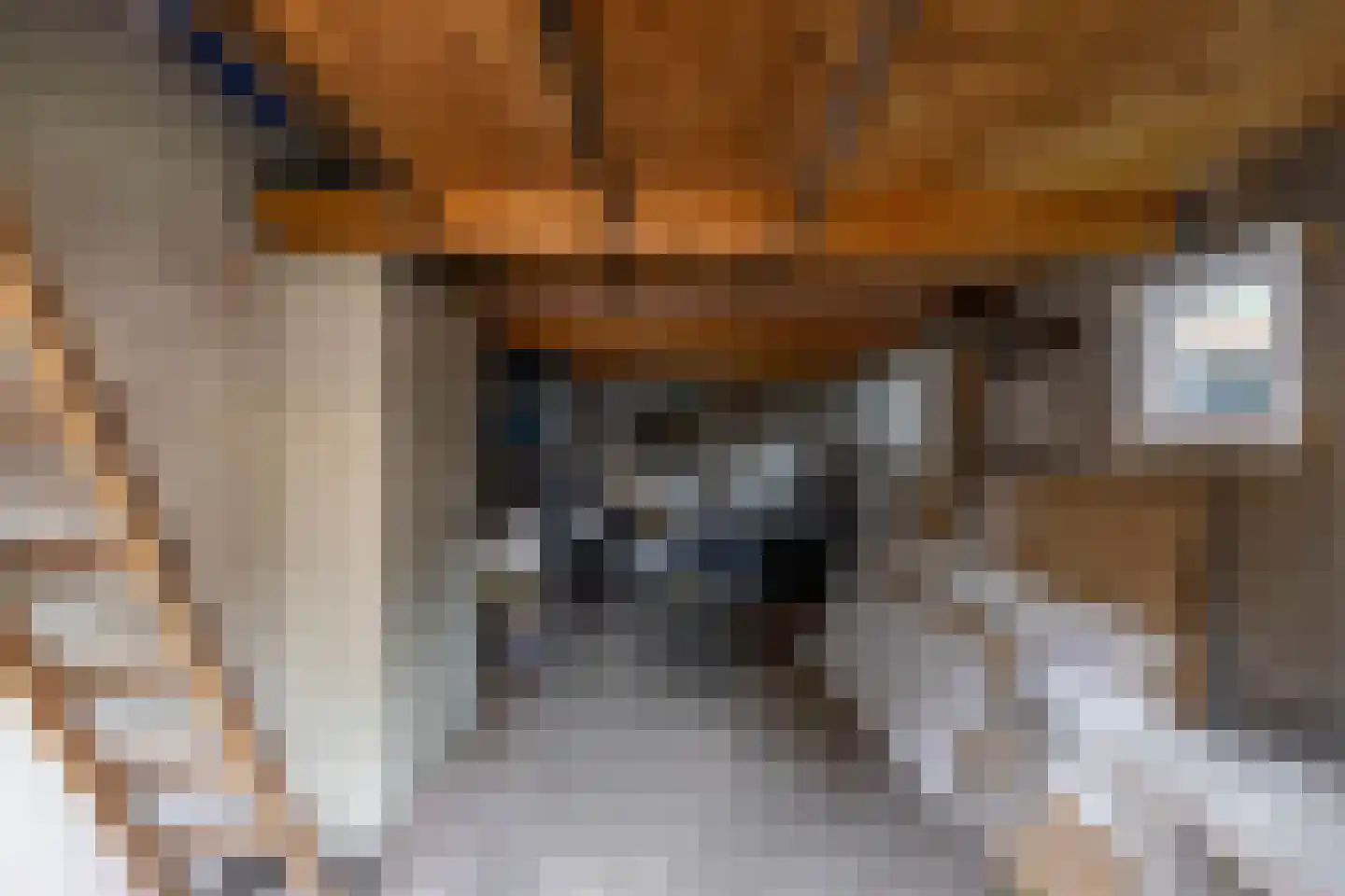 Leenakkersweg 51 Zuidlaren thumbnail 41