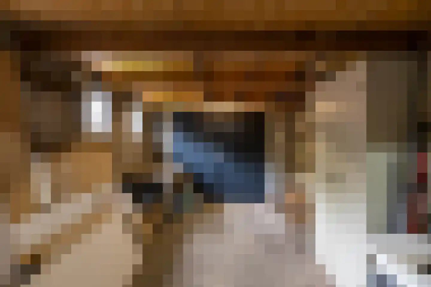 Leenakkersweg 51 Zuidlaren thumbnail 42