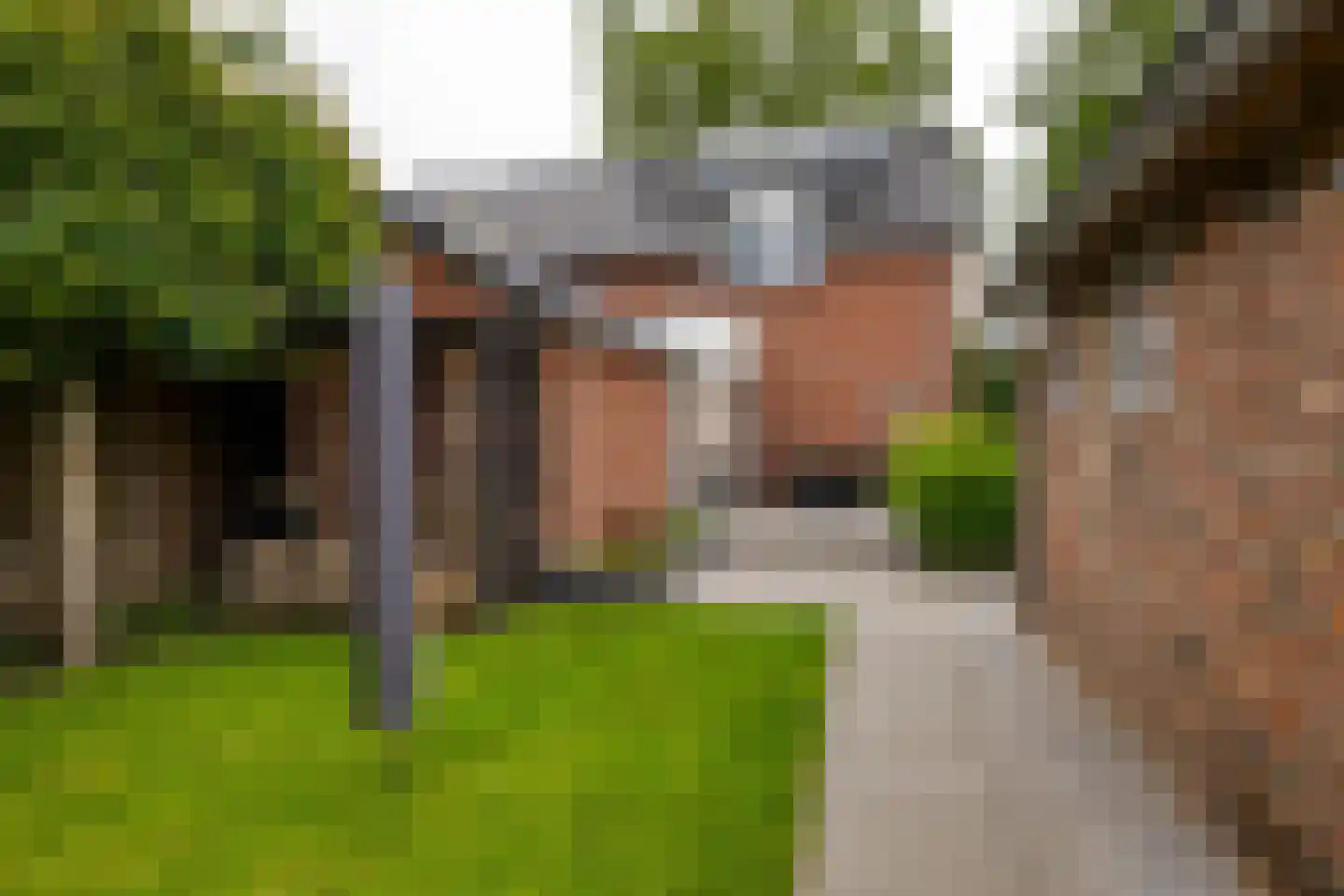 Leenakkersweg 51 Zuidlaren thumbnail 46
