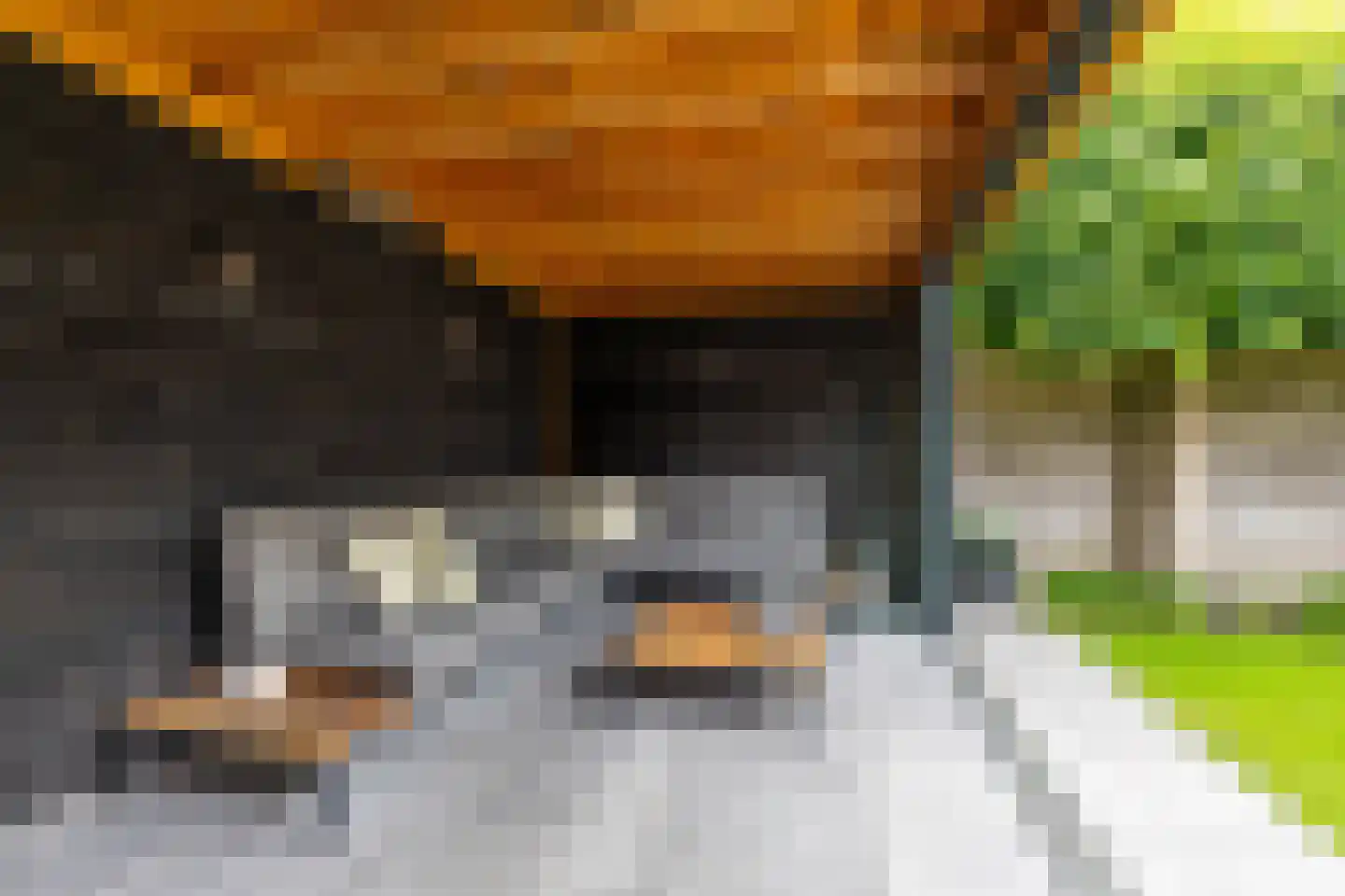 Leenakkersweg 51 Zuidlaren thumbnail 47