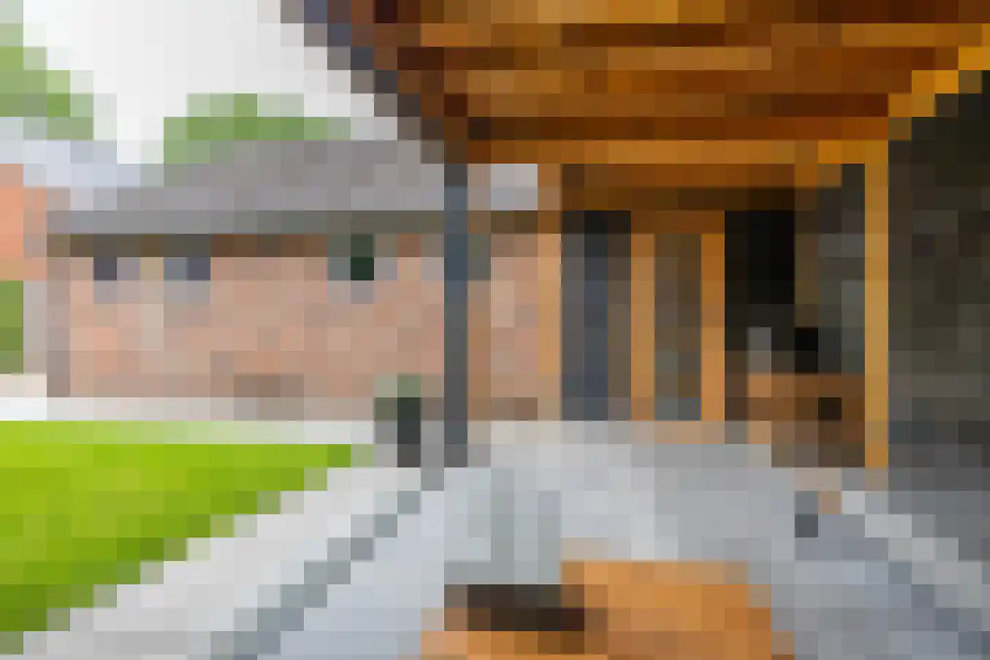 Leenakkersweg 51 Zuidlaren thumbnail 48