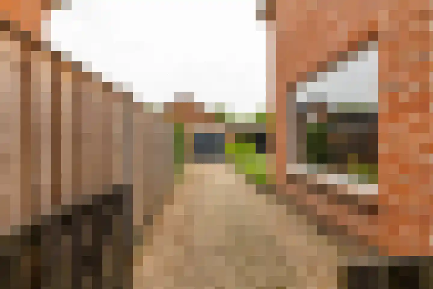 Leenakkersweg 51 Zuidlaren thumbnail 50
