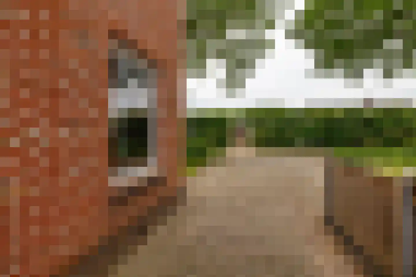 Leenakkersweg 51 Zuidlaren thumbnail 51