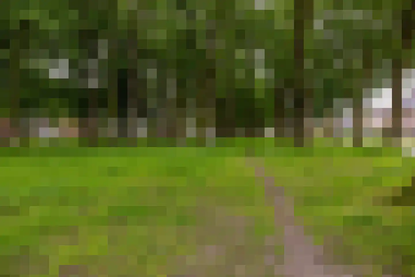 Leenakkersweg 51 Zuidlaren thumbnail 52
