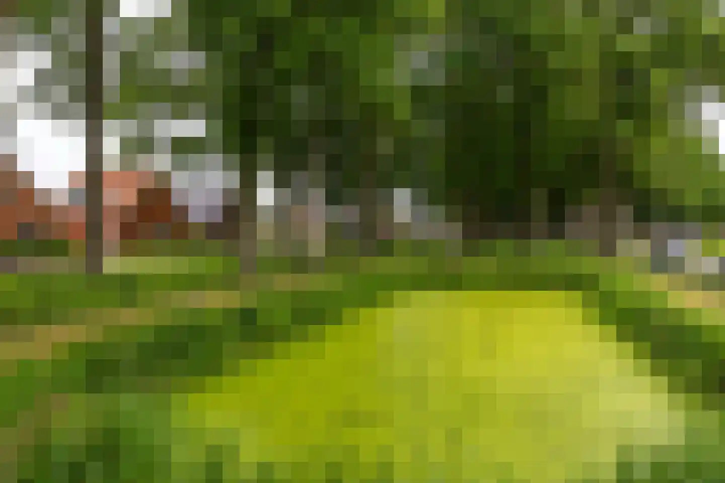 Leenakkersweg 51 Zuidlaren thumbnail 53